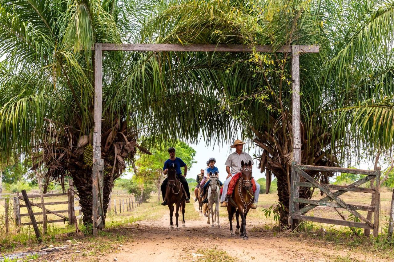 Pousada Fazenda Xaraes Todos os Santos Buitenkant foto