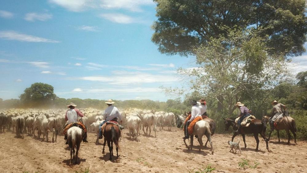 Pousada Fazenda Xaraes Todos os Santos Buitenkant foto
