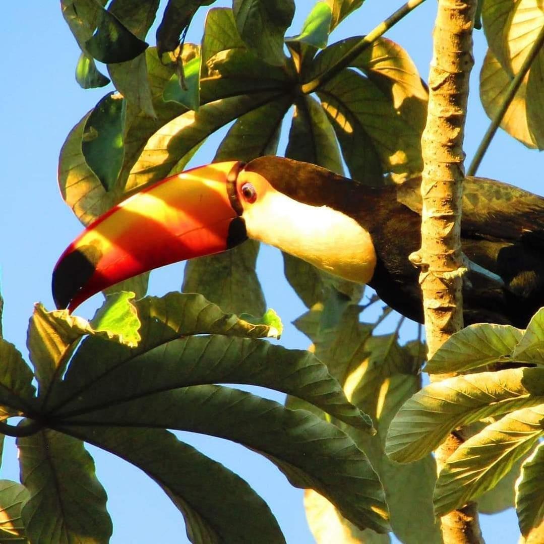 Pousada Fazenda Xaraes Todos os Santos Buitenkant foto