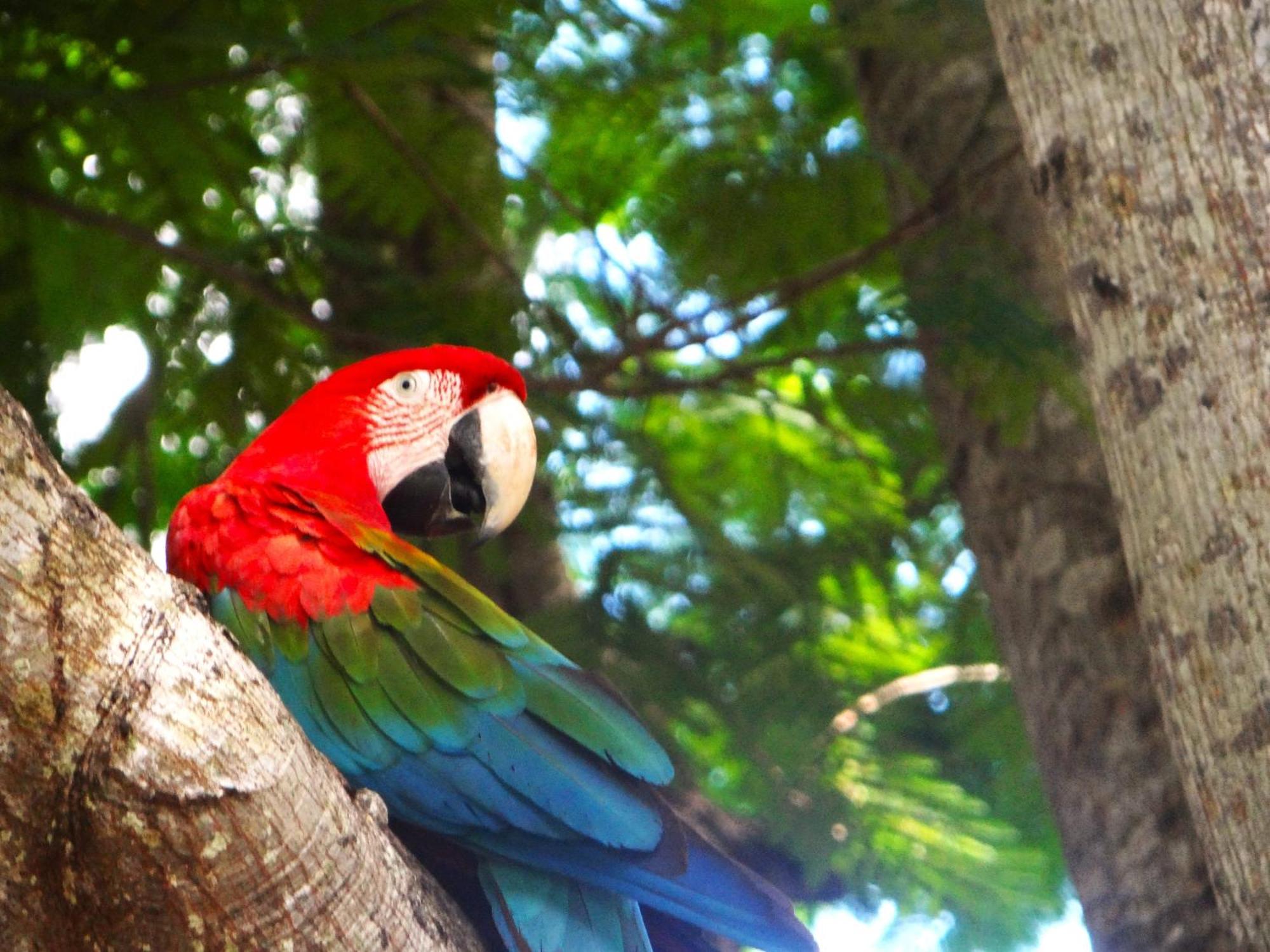 Pousada Fazenda Xaraes Todos os Santos Buitenkant foto