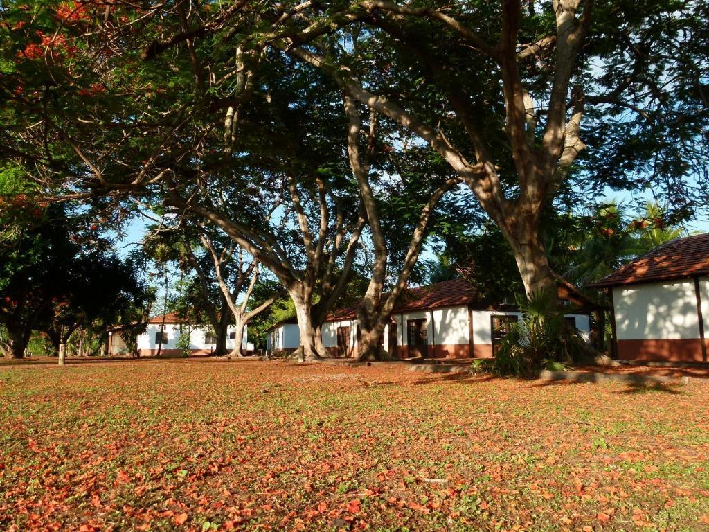 Pousada Fazenda Xaraes Todos os Santos Buitenkant foto